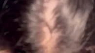  Titi sepong konti